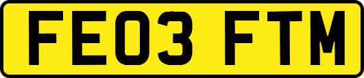 FE03FTM