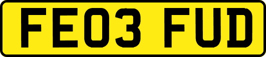 FE03FUD