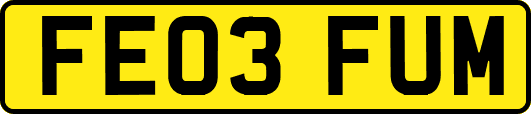 FE03FUM