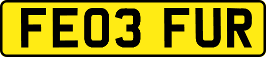 FE03FUR
