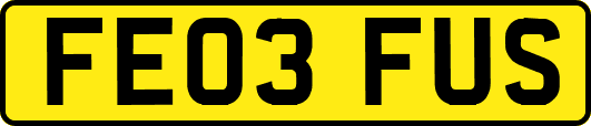 FE03FUS
