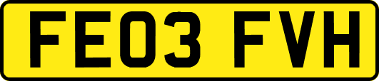 FE03FVH