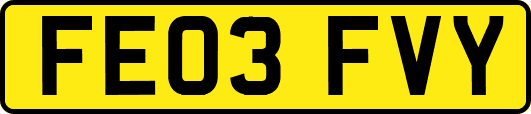 FE03FVY