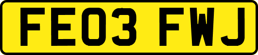 FE03FWJ