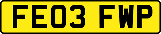 FE03FWP