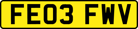 FE03FWV