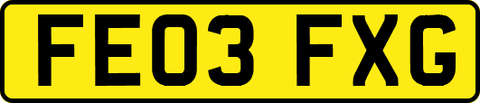 FE03FXG