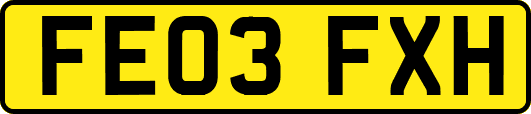FE03FXH
