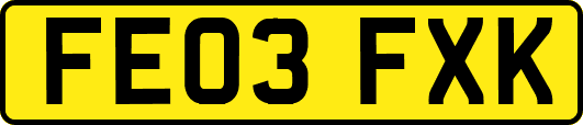 FE03FXK