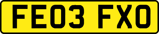 FE03FXO