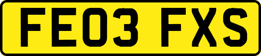 FE03FXS
