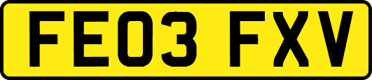 FE03FXV