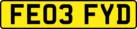 FE03FYD