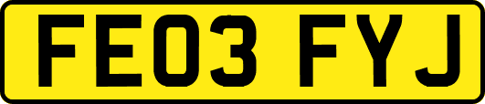 FE03FYJ