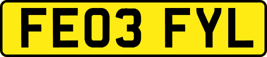 FE03FYL