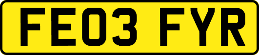 FE03FYR