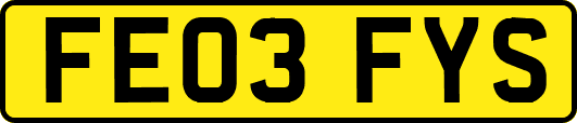 FE03FYS