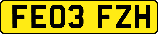FE03FZH
