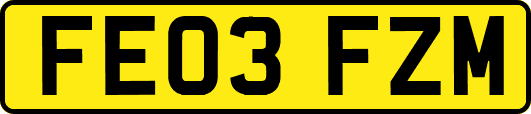 FE03FZM