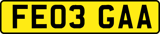 FE03GAA