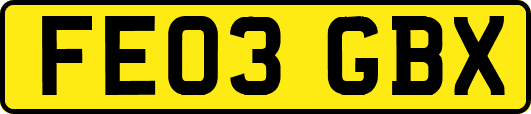 FE03GBX