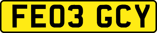 FE03GCY