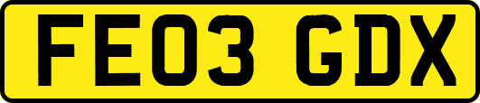 FE03GDX