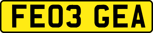 FE03GEA