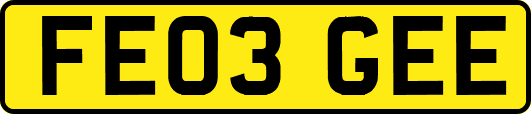 FE03GEE