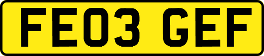 FE03GEF