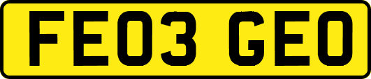 FE03GEO