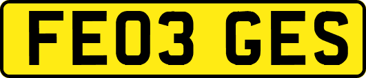FE03GES