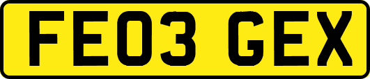 FE03GEX