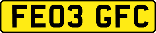 FE03GFC