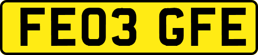 FE03GFE