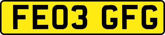 FE03GFG
