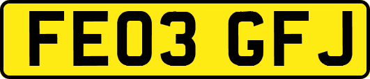 FE03GFJ