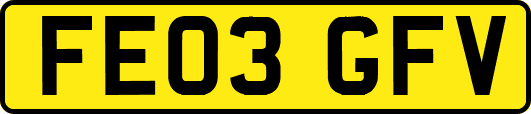 FE03GFV