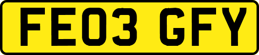 FE03GFY