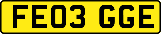 FE03GGE
