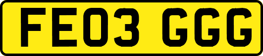 FE03GGG