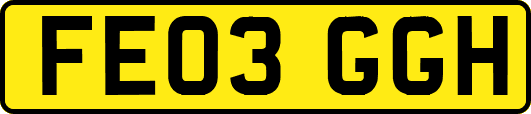 FE03GGH