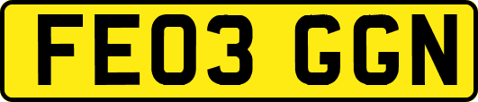 FE03GGN