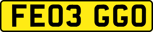 FE03GGO