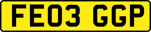 FE03GGP