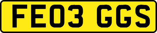 FE03GGS