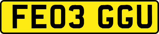 FE03GGU