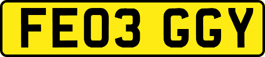 FE03GGY