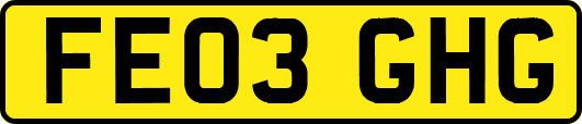 FE03GHG