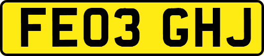 FE03GHJ